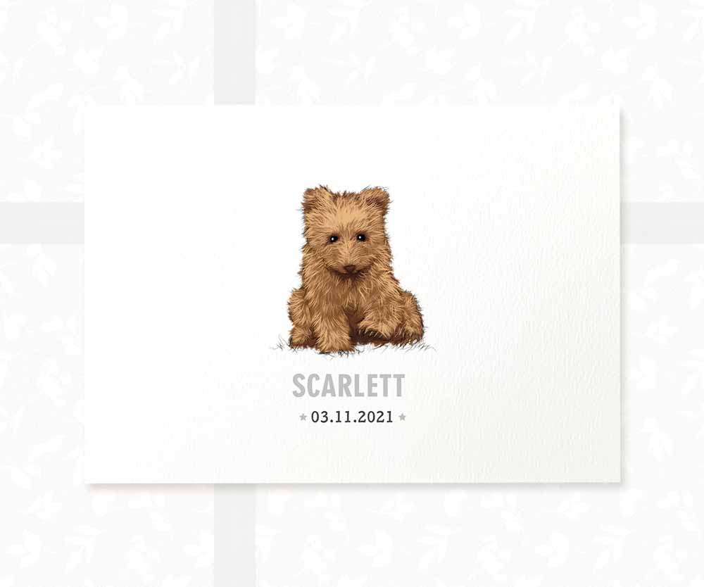 Bear Personalised Baby Name Print