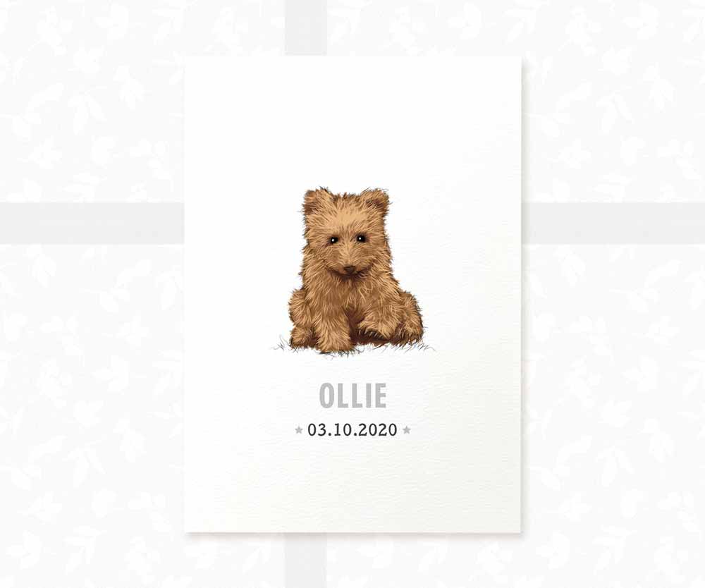 Bear Personalised Baby Name Print