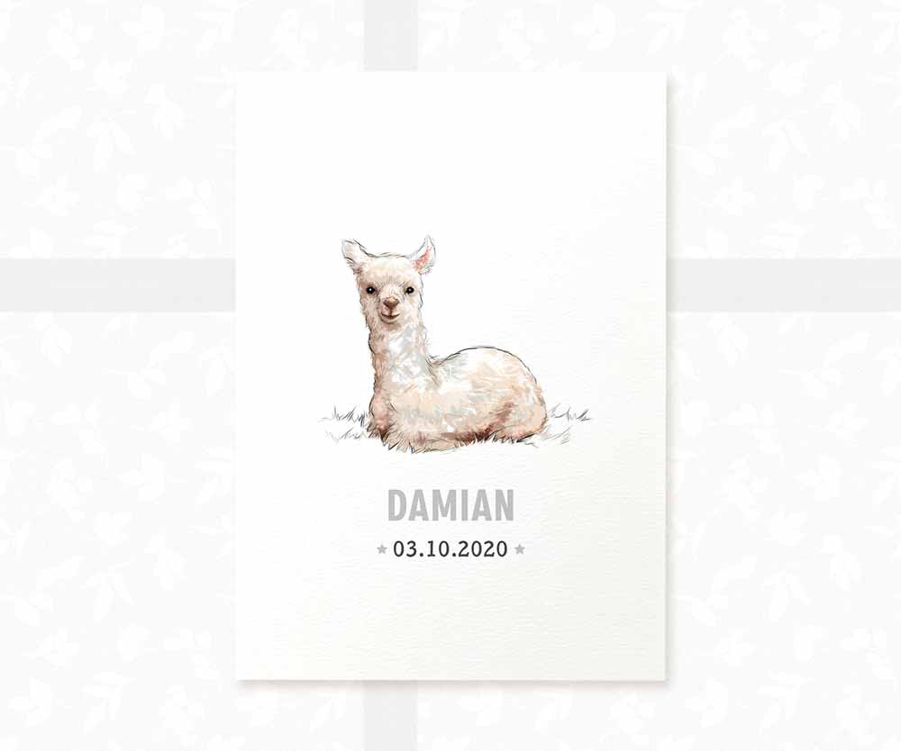 Llama Personalised Baby Name Print