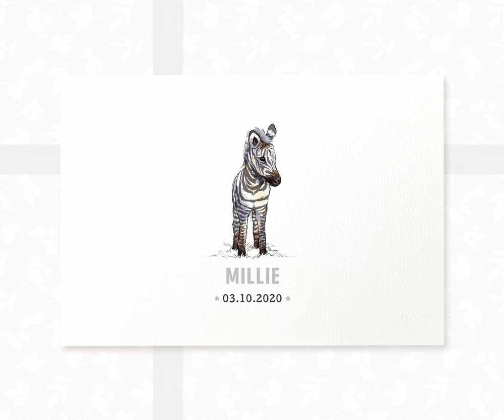 Zebra Personalised Baby Name Print