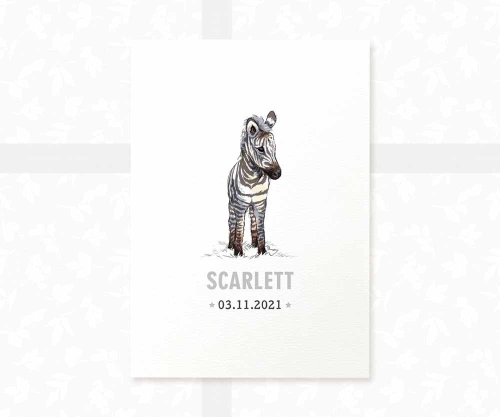 Zebra Personalised Baby Name Print