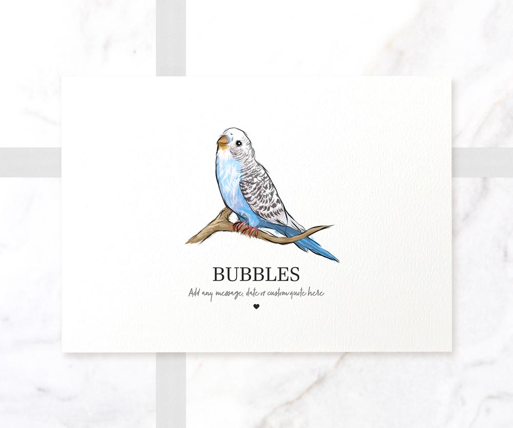 Personalized budgie memorial or gift print in frame