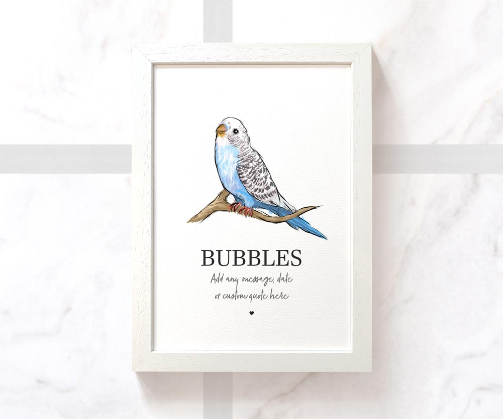 Custom blue budgie illustration with pet name