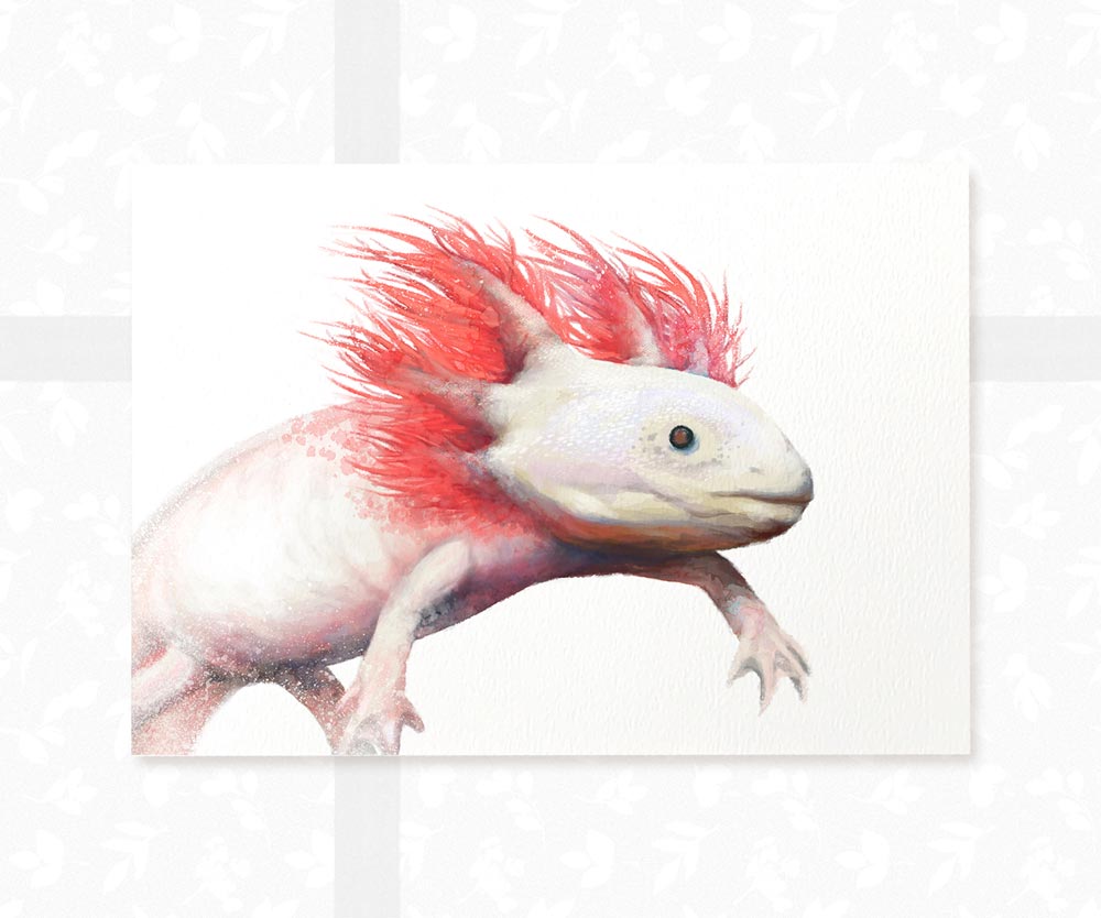 Axolotl Print