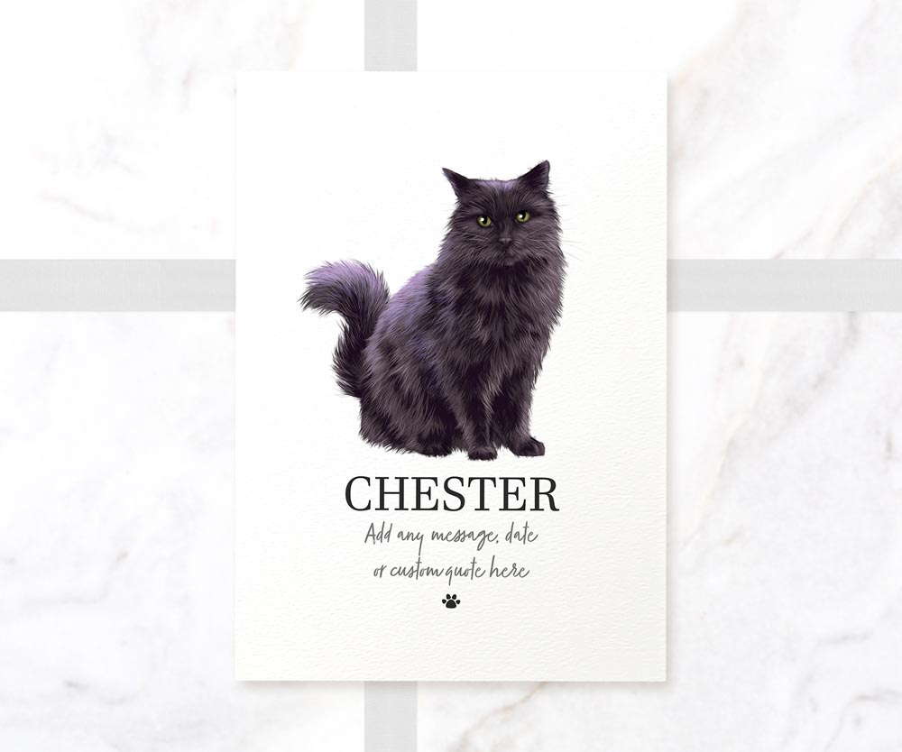 Black Cat Kitten New Pet Portrait Maine Coon Christmas Birthday Gift Name Custom Wall Art Print