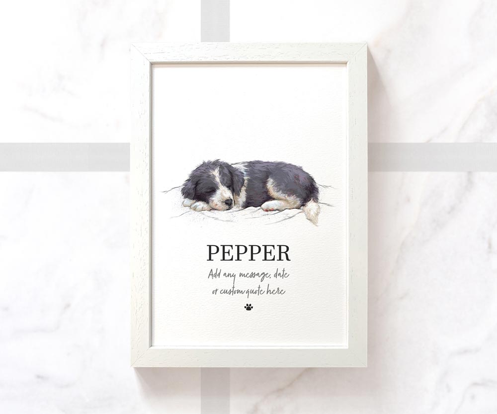 Border Collie Dog Pet Portrait Memorial Loss Birthday Christmas Gift Name Sign Personalised Poster Framed Print