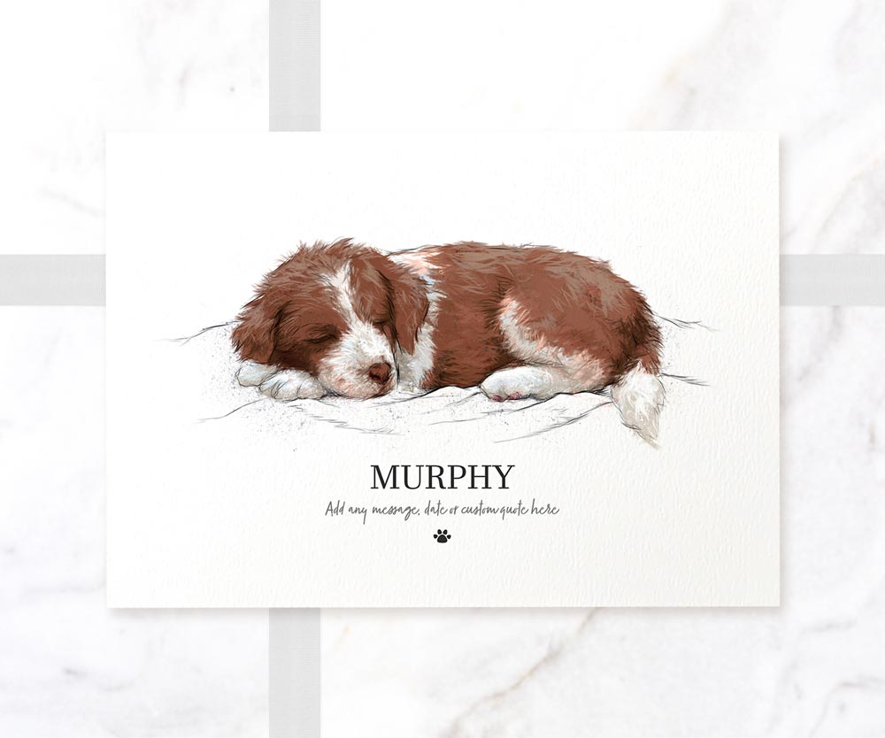 Border Collie Dog Brown White New Pet Portrait Memorial Loss Christmas Gift Custom Wall Art Print