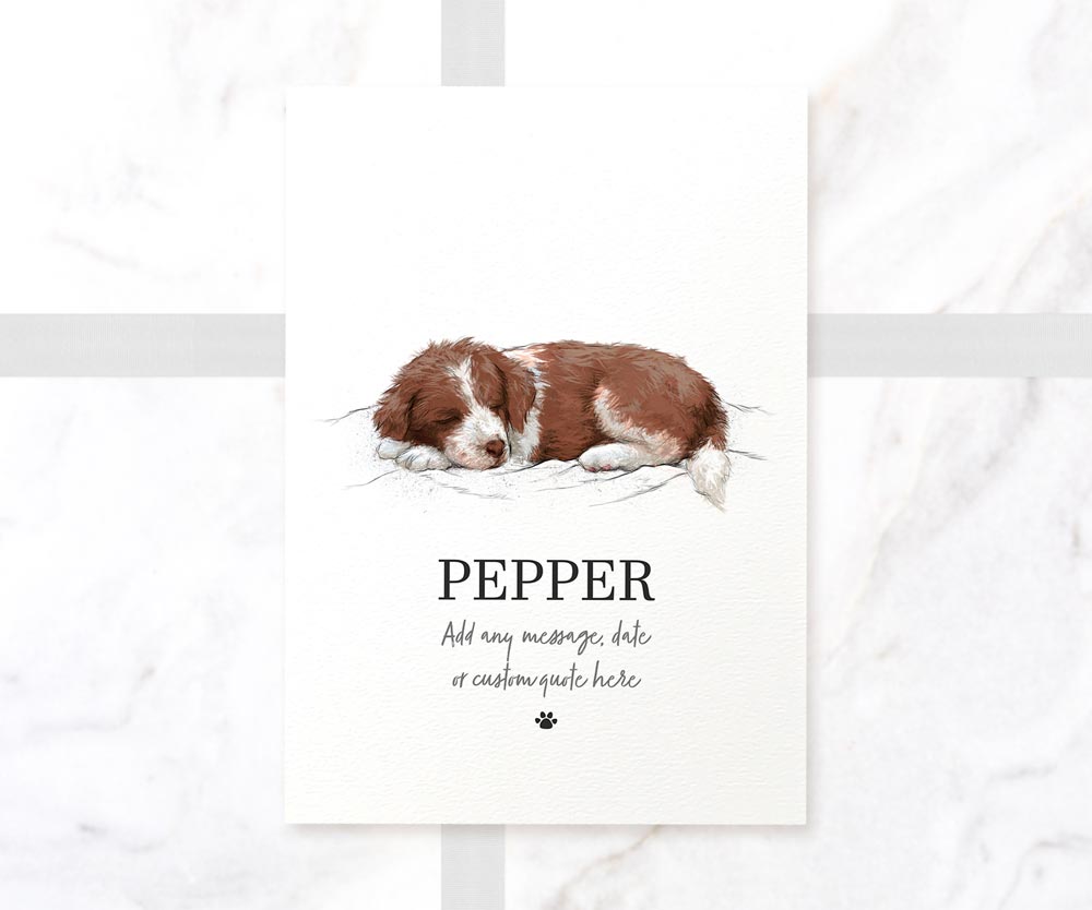 Border Collie Dog Decor New Pet Portrait Memorial Loss Christmas Gift Name Custom Wall Art Print