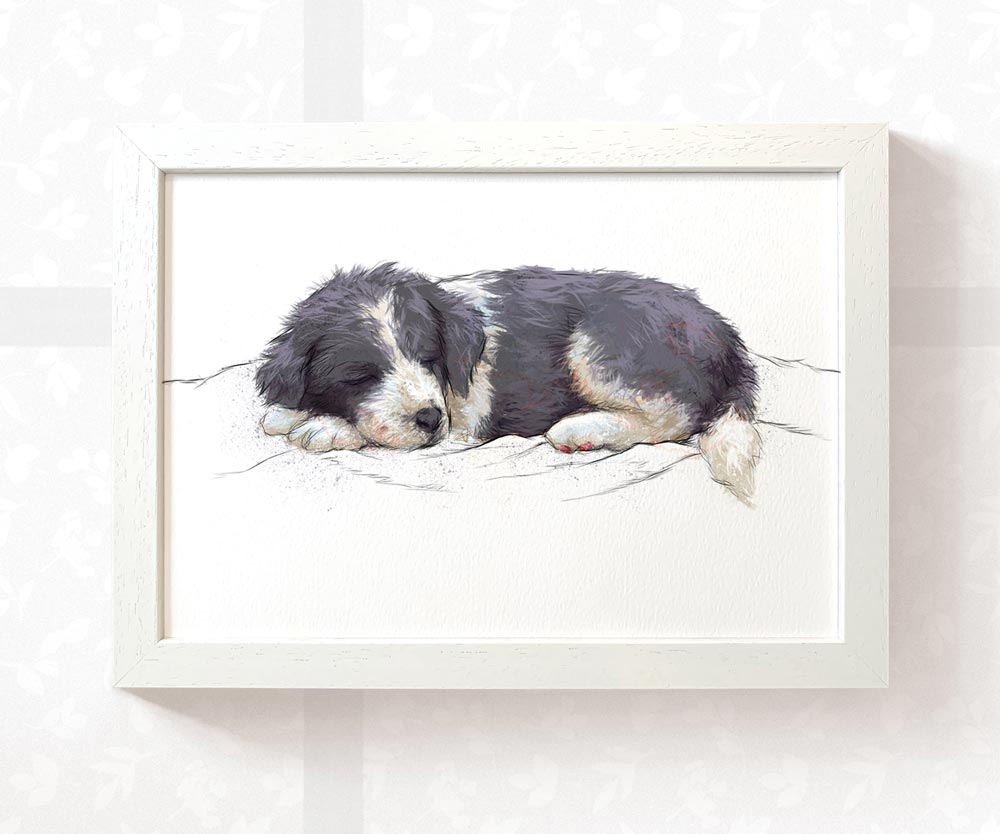 Border Collie Puppy Animal Print