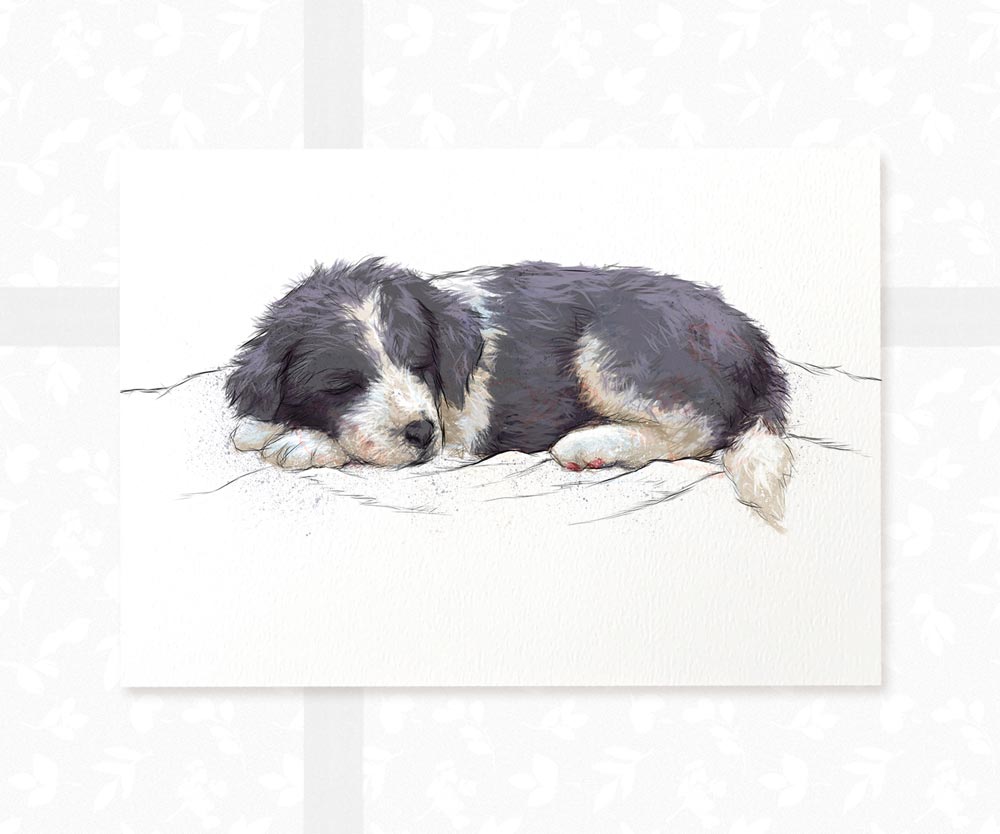Border Collie Puppy Animal Print