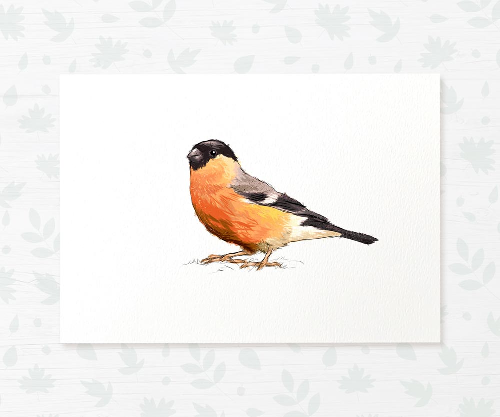 Bird Nursery Prints New Baby Shower Gift Boy Girl Bullfinch Childrens Wall Art Set Playroom Decor