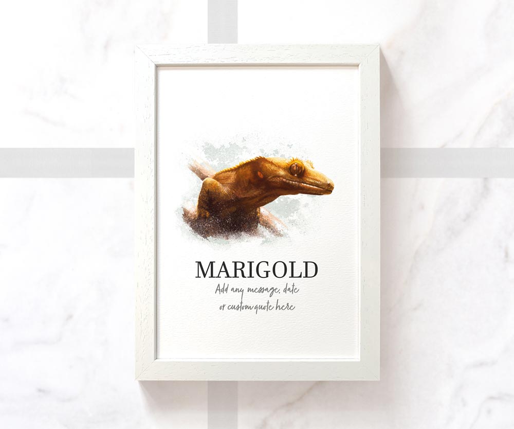 Crested Gecko Personalised Poster Pet Portrait Memorial Loss Birthday Christmas Gift Name Sign Custom Framed Print