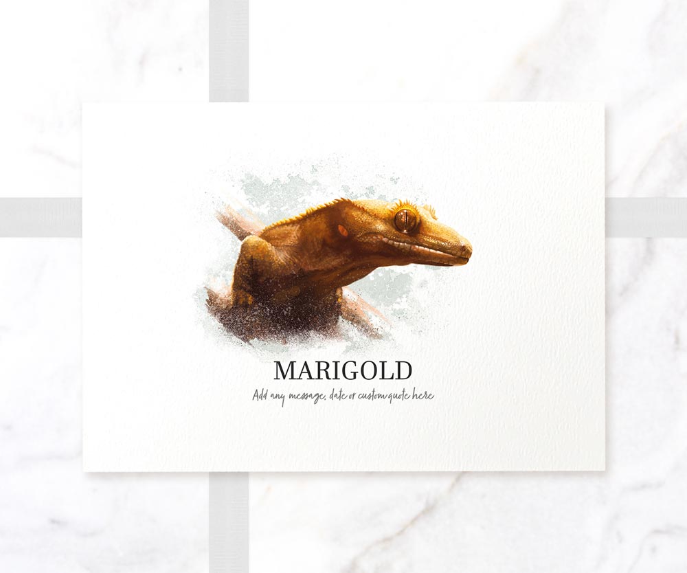 Crested Gecko Lizard Personalised New Pet Portrait Memorial Loss Christmas Gift Custom Wall Art Poster Print