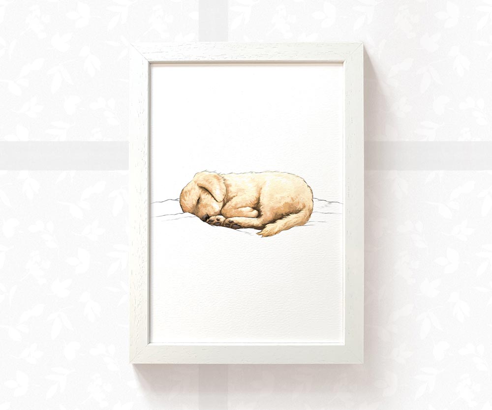 Golden Retriever Sleeping Print