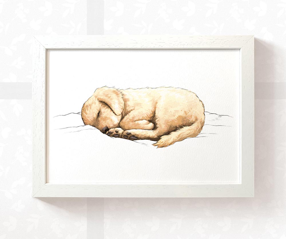 Golden Retriever Sleeping Print
