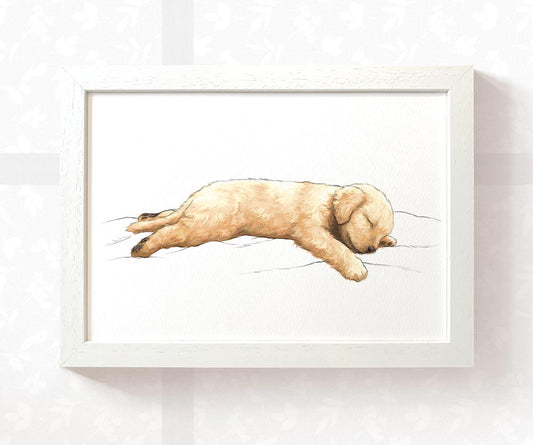Golden Retriever Splooting Print