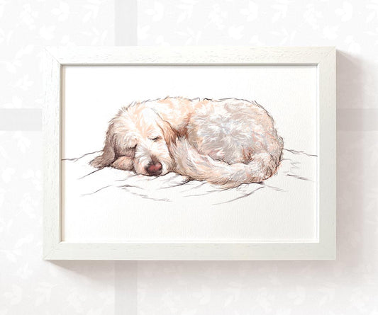Goldendoodle Puppy Dog Art Print