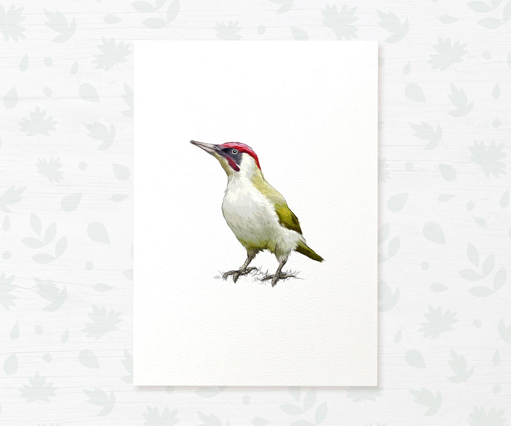Bird Nursery Prints New Baby Shower Gift Boy Girl Woodpecker Childrens Wall Art Set Playroom Decor