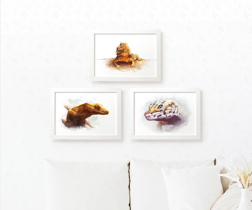 Reptile Lizard Lover Birthday Gift Ideas Prints Poster Animal Wall Art Set Vivarium Décor Exotic Wildlife