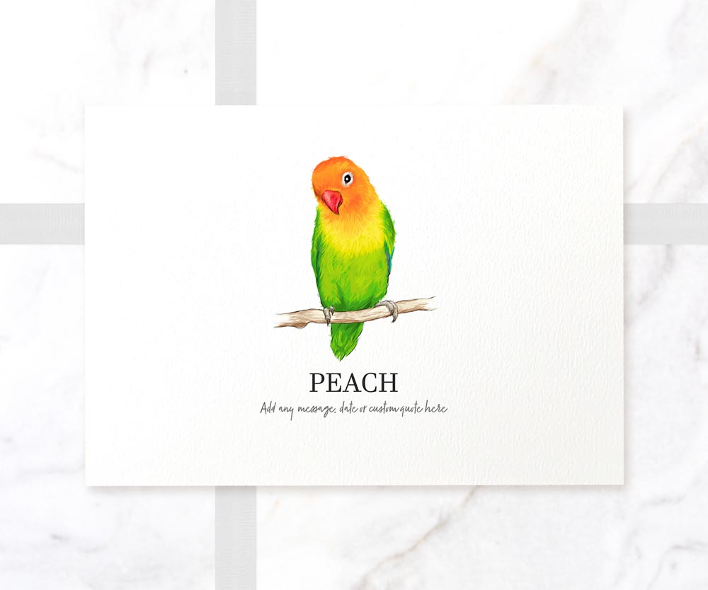 Peach Faced Lovebird Bird Personalised New Pet Portrait Memorial Loss Christmas Gift Custom Art Poster Print