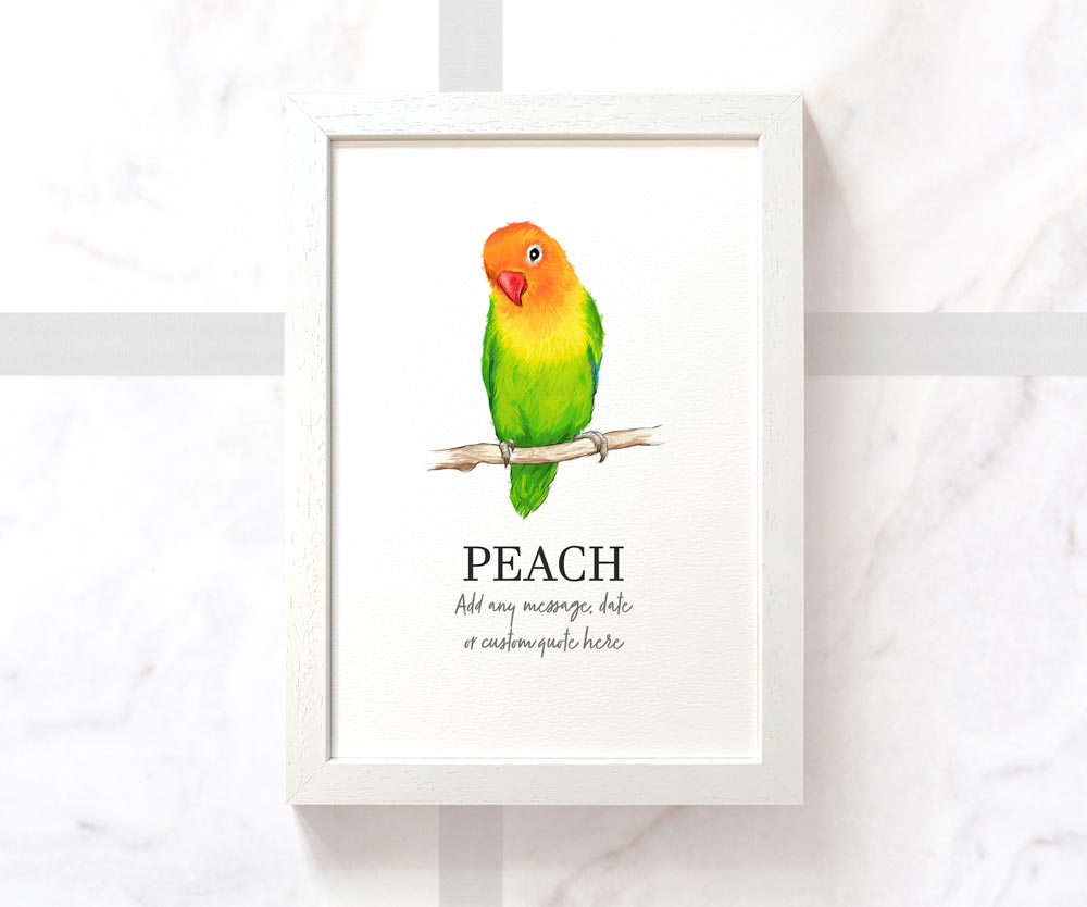 Peach Faced Lovebird Bird Pet Portrait Memorial Loss Birthday Christmas Gift Name Sign Personalised Framed Art Print