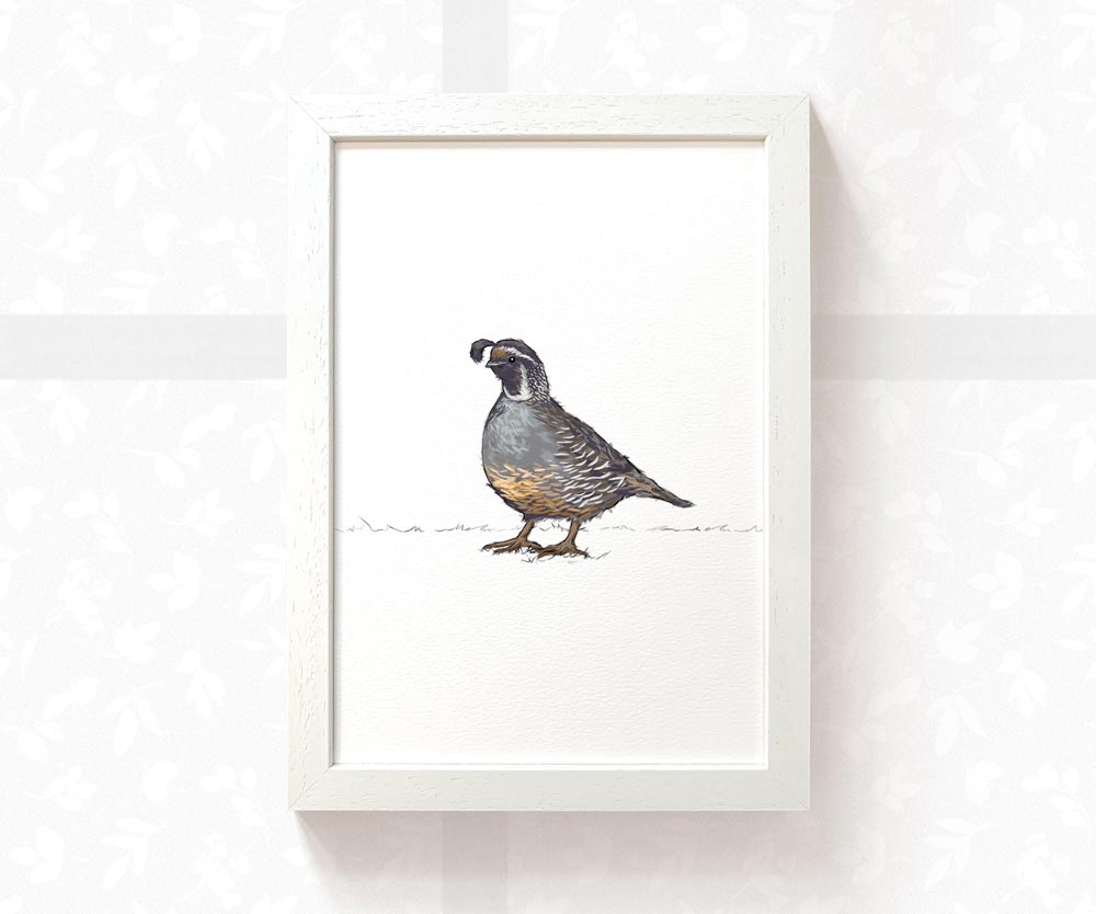 Quail Woodland Bird Nursery Print