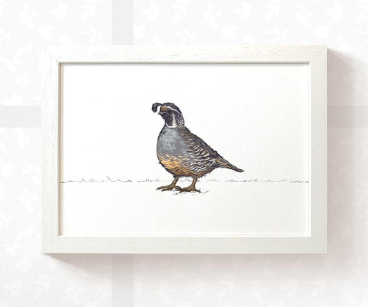 Quail Woodland Bird Nursery Print
