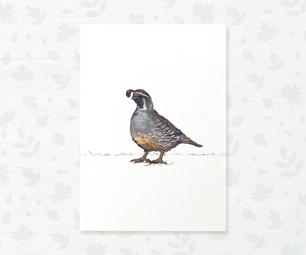 Quail Woodland Bird Nursery Print