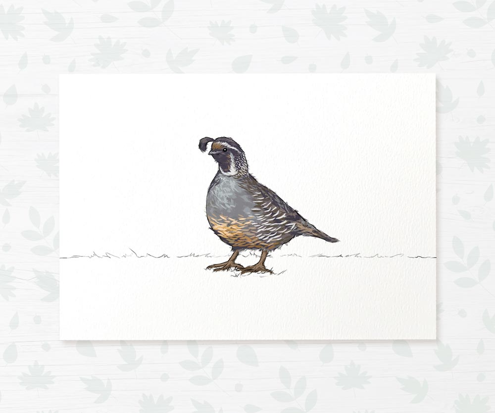Quail Woodland Bird Nursery Print
