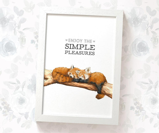 Red Panda Sleeping Print "Enjoy the Simple Pleasures"