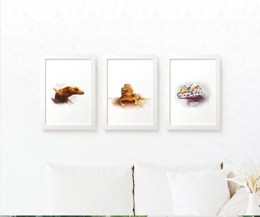 Reptile Lizard Lover Birthday Gift Ideas Prints Poster Animal Wall Art Set Vivarium Décor Herpetology UK