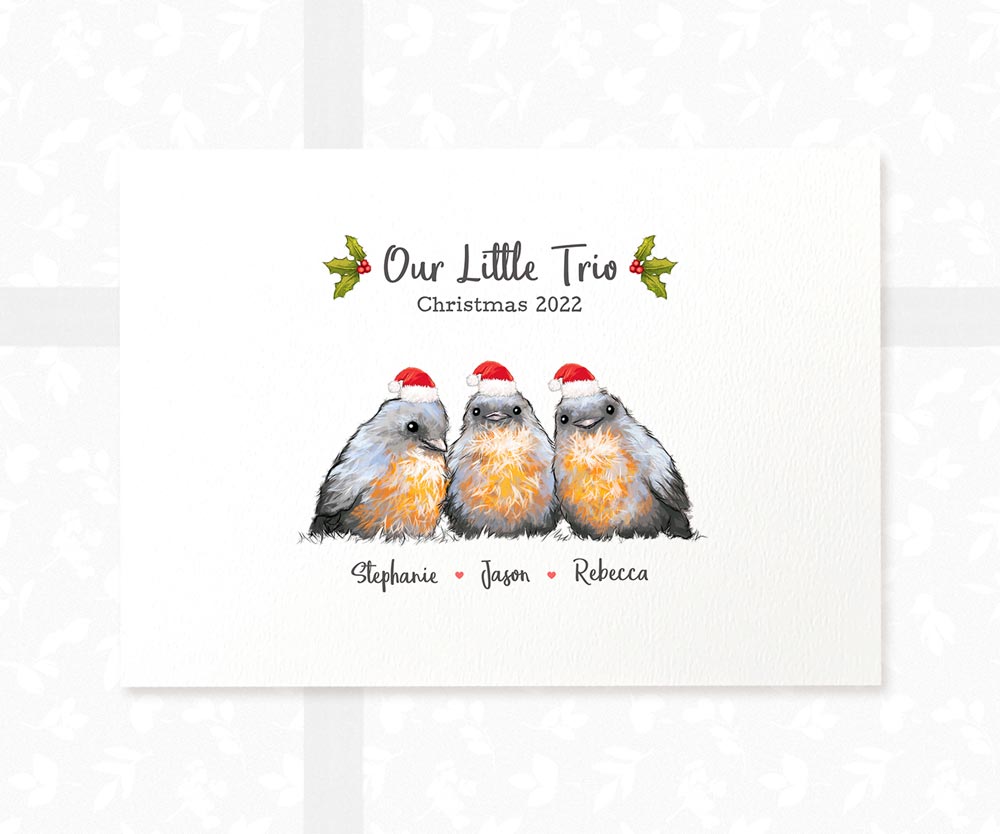 Babys First Christmas Gift Ideas Robin Family Portrait 2022 Personalised Decoration Names Print Frame A4 A3