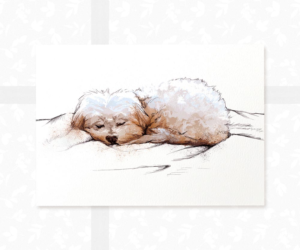 Maltese Puppy Dog Art Print