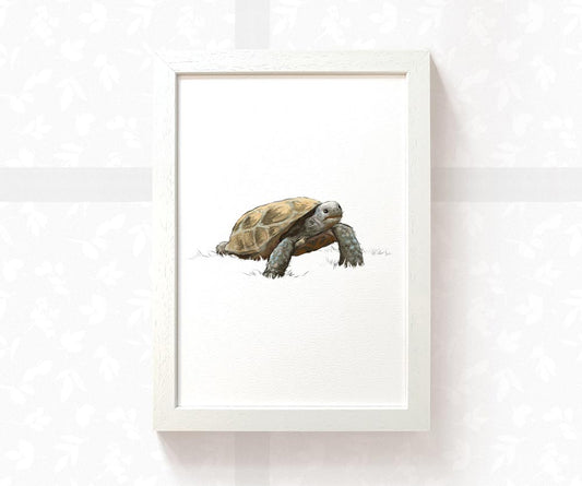 Tortoise Nursery Print