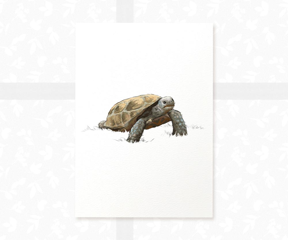 Tortoise Nursery Print
