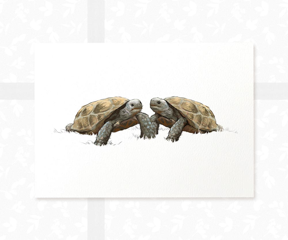 Tortoise Animal Nursery Print for Twins