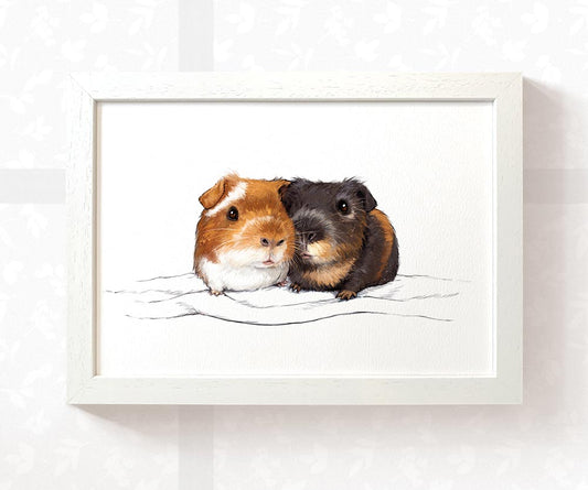 Guinea Pig Print