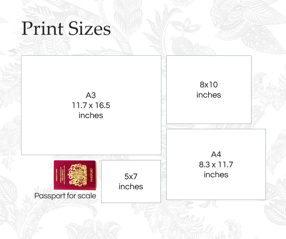 a picture of a passport size guide