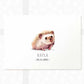 Hedgehog Personalised Baby Name Print