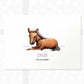 Horse Personalised Baby Name Print