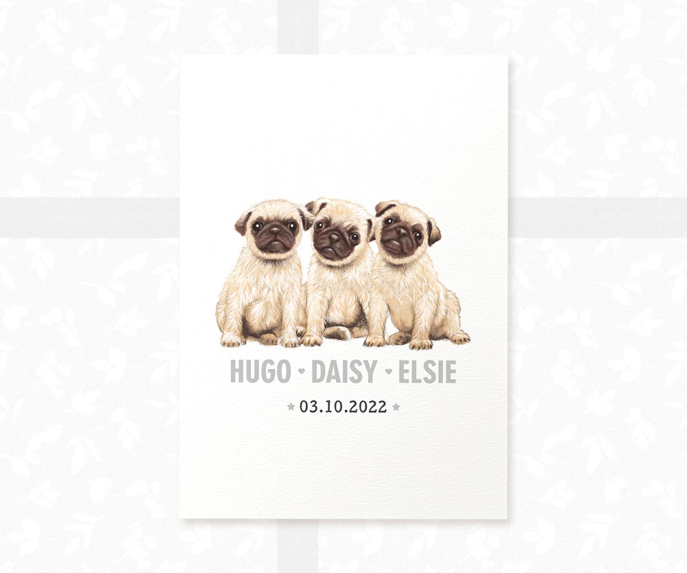 Pug Personalised Baby Name Print for Triplets