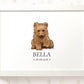Bear Personalised Baby Name Print