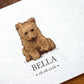 Bear Personalised Baby Name Print