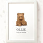Bear Personalised Baby Name Print