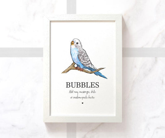 Custom blue budgie illustration with pet name