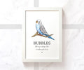 Blue Budgie Personalised Pet Name Print