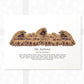 Personalised pangolin classroom illustration gift