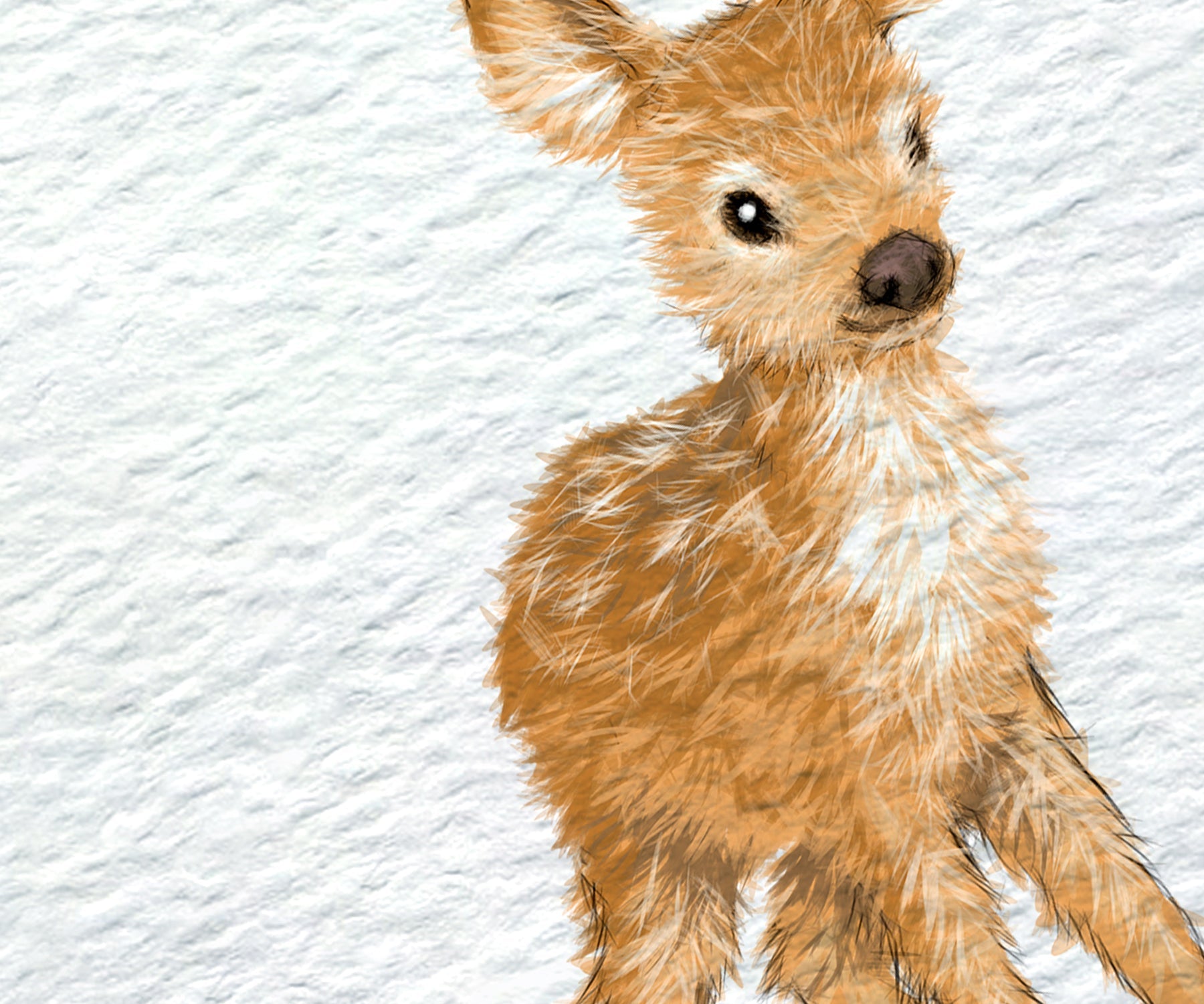 A watercolor-style illustration of a young deer fawn with light brown and white fur, set against a textured white background.