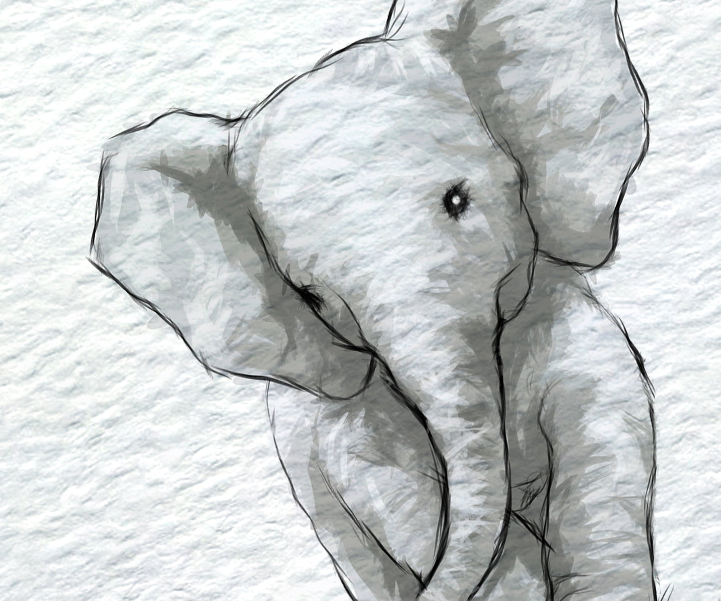 A monochrome watercolor-style drawing of a baby elephant on a textured white background.