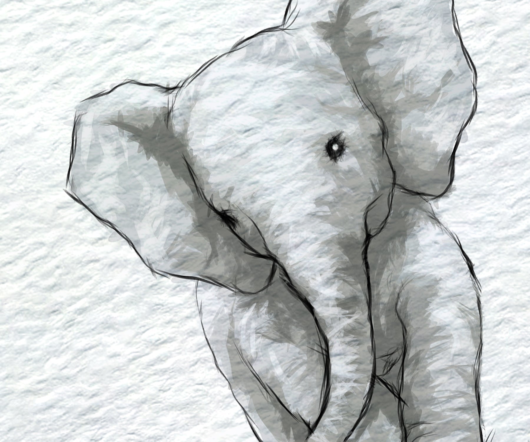 A monochrome watercolor-style drawing of a baby elephant on a textured white background.